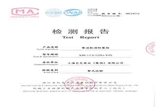 XBC13.0/320G-YJS柴油機(jī)消防泵組檢驗(yàn)報(bào)告